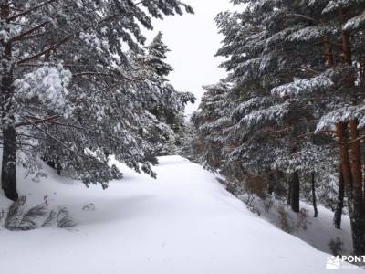 Rebollo de la Maleza; cami de cavalls menorca puerco ribagorza parque natural de arribes del duero t